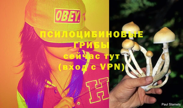 не бодяженный Баксан
